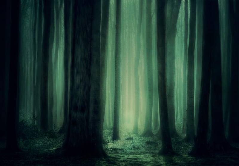 Mystical Woodlands