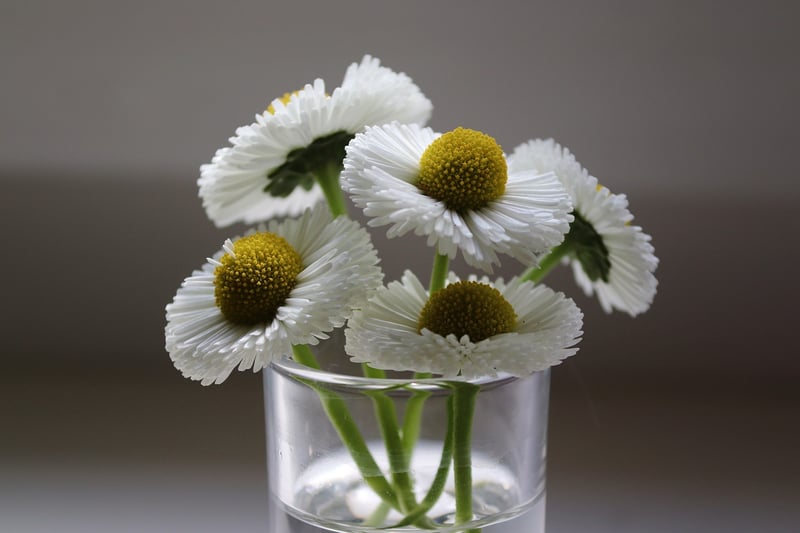 Whimsical Decor